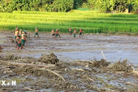 Đã có 336 người chết, mất tích do ảnh hưởng của bão, mưa lũ và sạt lở đất