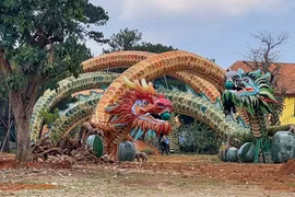 Bị phạt khi đưa cặp rồng từ đường hoa Nguyễn Huệ lên Đà Lạt lắp đặt