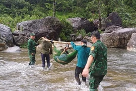 Người đàn ông sống sót sau 4 ngày rơi xuống vực trong rừng sâu