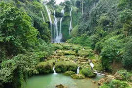 Đến Mộc Châu nhớ ghé thác Nàng Tiên đậm hoang sơ của núi rừng Tây Bắc