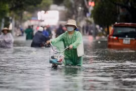 Nam Bộ, Tây Nguyên sắp đón mưa diện rộng