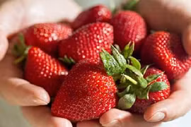 Phát hiện lợi ích dâu tây với tim mạch, có hiệu quả chỉ sau 1 giờ ăn