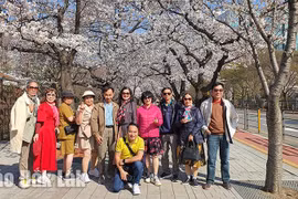 “Kỳ tích sông Hàn” - Những điều mắt thấy, tai nghe