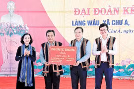 Để cây đời bật những mầm xuân 