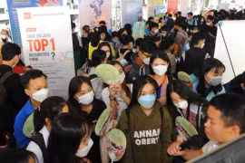 Vì sao sinh viên ra trường lao đao tìm việc làm?