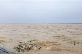 Bộ GD-ĐT yêu cầu các cơ sở giáo dục chủ động ứng phó với mưa lũ