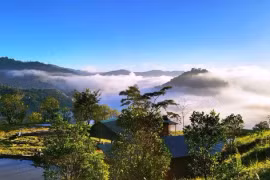 Đại ngàn vẫy gọi