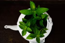 Nhiều tác dụng của bạc hà