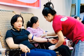 Tỷ lệ người hiến máu tình nguyện đã đạt 97%