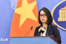 Việt Nam quan ngại sâu sắc trước diễn biến leo thang căng thẳng tại Trung Đông