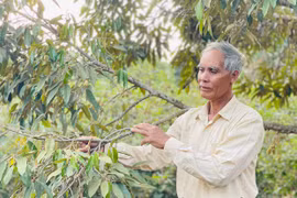 Lão nông Jrai làm giàu nhờ ứng dụng khoa học kỹ thuật vào sản xuất