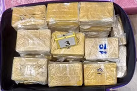 Triệt phá đường dây vận chuyển 184 bánh heroin ra nước ngoài
