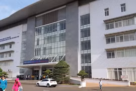 5 người co giật, nôn ói sau khi ăn cà độc dược