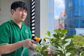 Chuyện 'người làm vườn trong bóng đêm' khiến dân mạng cảm phục