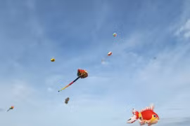 100 loại diều đến từ 12 quốc gia và vùng lãnh thổ tham gia trình diễn tại Quảng Nam