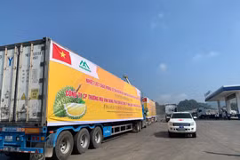 Khơi thông thị trường xuất khẩu hàng hóa nông sản 