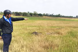 Chư Sê tập trung chống hạn vụ Đông Xuân 