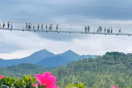Đưa cầu đáy kính dài 325m ở Đà Lạt vào phục vụ du khách