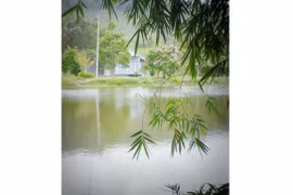 Thơ Nguyễn Đình Phê: Hẹn