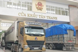 Dư địa lớn thúc đẩy thương mại hai chiều giữa Việt Nam và Trung Quốc