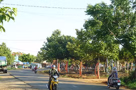 Ủy ban nhân dân tỉnh Gia Lai trả lời kiến nghị của cử tri 