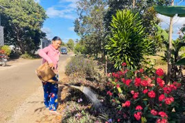 Bảo vệ môi trường, xây dựng đô thị văn minh