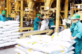 Chính phủ phê duyệt Đề án Phát triển công nghiệp chế biến thức ăn chăn nuôi đến năm 2030