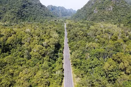 Đẹp mê hồn tuyến đường xuyên đảo Cát Bà vào đông