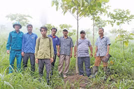 Bảo tồn giống cây lâm nghiệp quý hiếm 