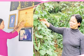 Những phụ nữ Gia Lai tự nguyện trả lại sổ hộ nghèo 