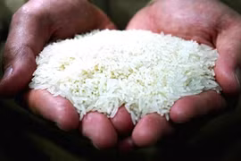 Ấn Độ cấm xuất khẩu gạo, cơ hội cho Việt Nam