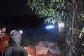 Hai phụ nữ hái rau muống, tử vong nghi do điện giật