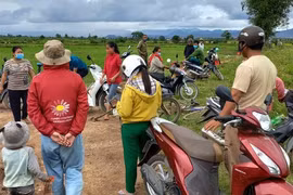 27 hộ dân ở Gia Lai kêu cứu vì ruộng lúa biến thành mỏ cát
