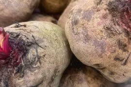 Vì sao bác sĩ cảnh báo không nên ăn quá nhiều củ dền?