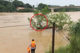 Người đàn ông bị lũ cuốn trôi 2 km trên sông Mã