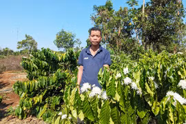 Xung quanh chiến công của du kích Puih Glớ và đồng đội - Kỳ cuối: Phác họa chân dung Puih Glớ