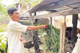 Ia Sao: Lan tỏa phong trào sản xuất, kinh doanh giỏi