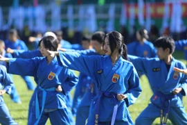 Cơ hội vàng cho Vovinam Gia Lai