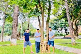 Cây trắc ở Quảng trường Đại Đoàn Kết