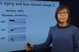 Nhà khoa học người Việt đầu tiên nhận giải thưởng Colworth: Thành quả lớn từ khát vọng nhỏ