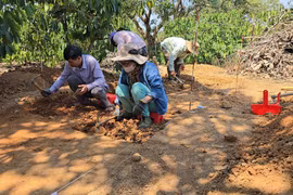 Phát hiện nhiều dấu tích người tiền sử ở Đắk Nông