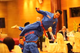 Vovinam được công nhận di sản văn hóa phi vật thể quốc gia 