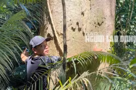 Hệ lụy khó lường 