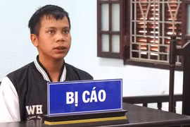 Trộm 8 cây sâm Ngọc Linh đổi lấy 2 điện thoại