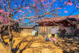 Lâm Đồng ban hành mẫu thiết kế nhà ở cho hộ đồng bào dân tộc thiểu số 