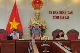 Chánh Văn phòng UBND tỉnh Gia Lai xin nghỉ hưu trước tuổi