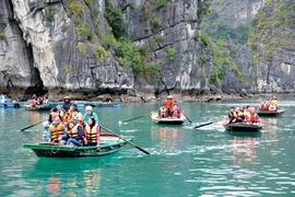 Nâng cao hiệu quả công tác thống kê du lịch để hoạch định chính sách và thúc đẩy phát triển du lịch Việt Nam 