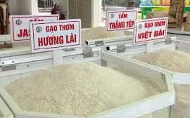 Xuất khẩu gạo thiết lập kỷ lục mới 