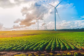 Yêu cầu Bộ Công thương khẩn trương chỉ đạo EVN đàm phán với các chủ đầu tư điện gió, điện mặt trời 