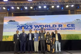 Diễn biến mới vụ gạo ST25 đoạt giải gạo ngon nhất thế giới 2023